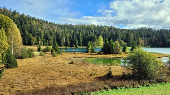 Lac Genin Et Cascade De La Fronde Dans Le Jura Happycurio