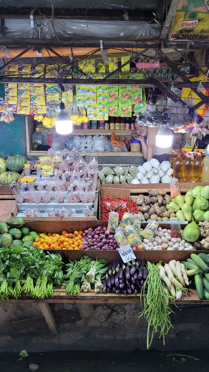 puerto-princesa-market-2