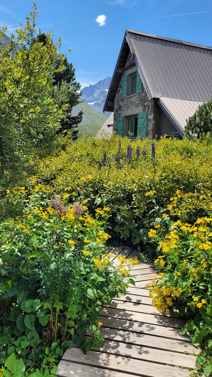 jardin-du-lautaret-col-hautes-alpes