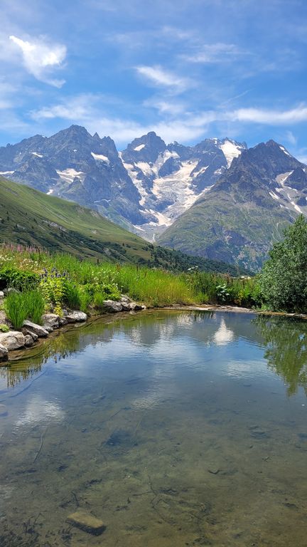 parc-des-ecrins-jardin-lautaret-2