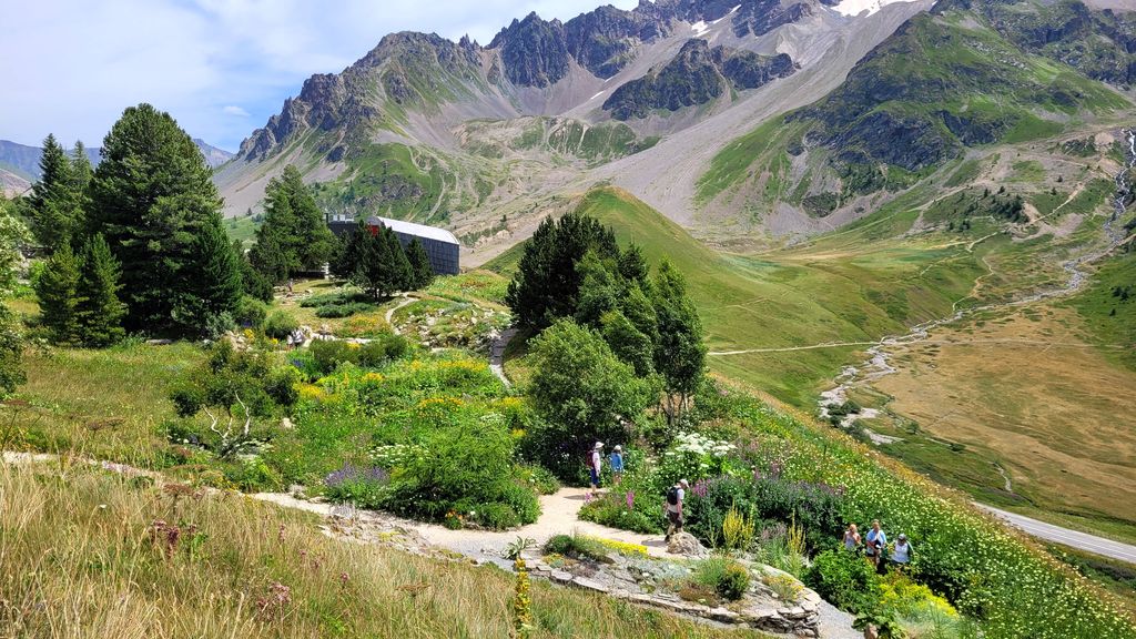 parc-des-ecrins-jardin-lautaret-3