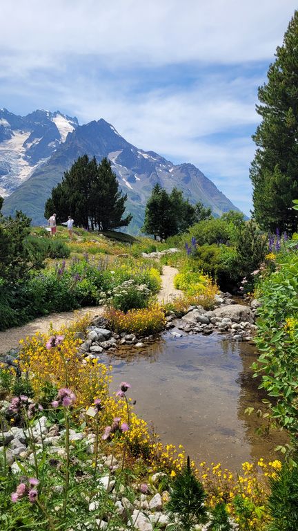 parc-des-ecrins-jardin-lautaret-4