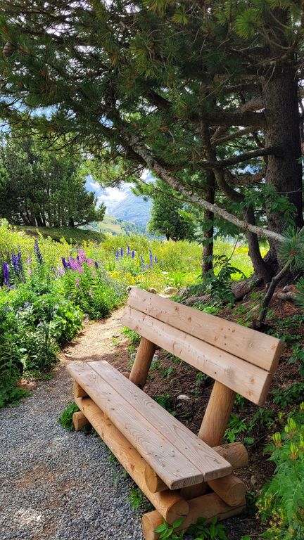 parc-des-ecrins-jardin-lautaret-5