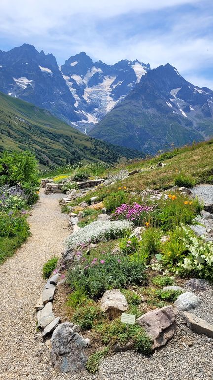 parc-des-ecrins-jardin-lautaret-6