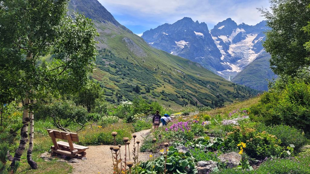 parc-des-ecrins-jardin-lautaret-7