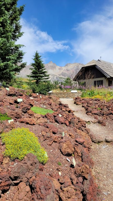 parc-des-ecrins-jardin-lautaret-8