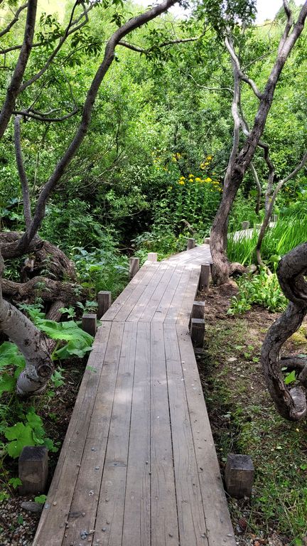 parc-des-ecrins-jardin-lautaret