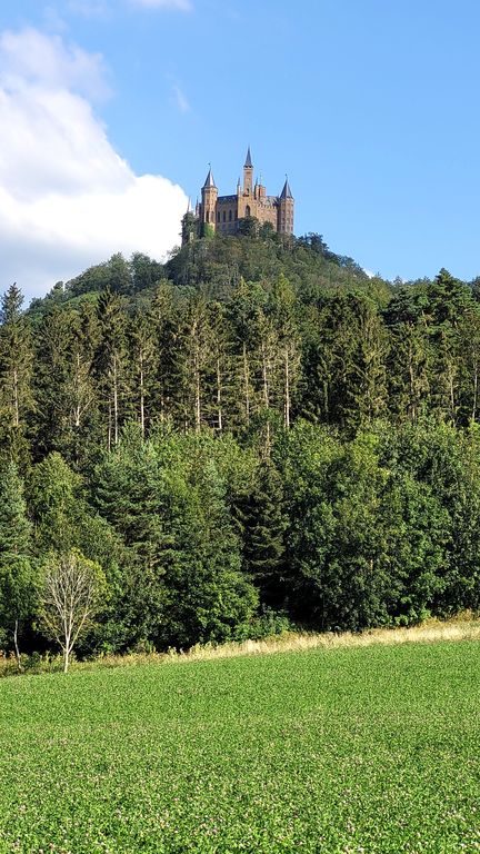 chateau-hohenzollern-foret-noire-16