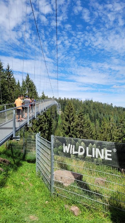 wildline-foret-noire-pont-suspendu