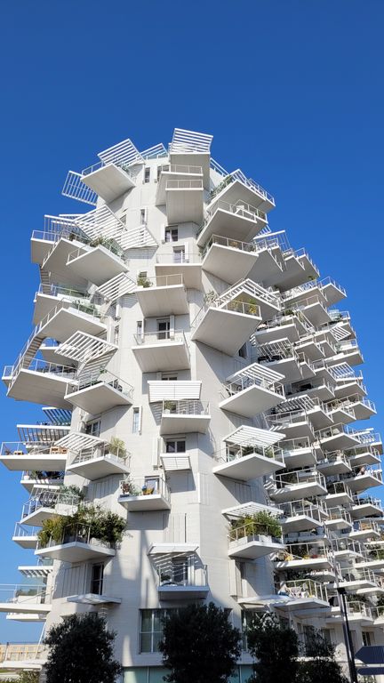 montpellier-architecture-arbre-blanc