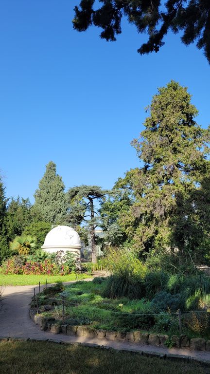 montpellier-jardin-plantes-2