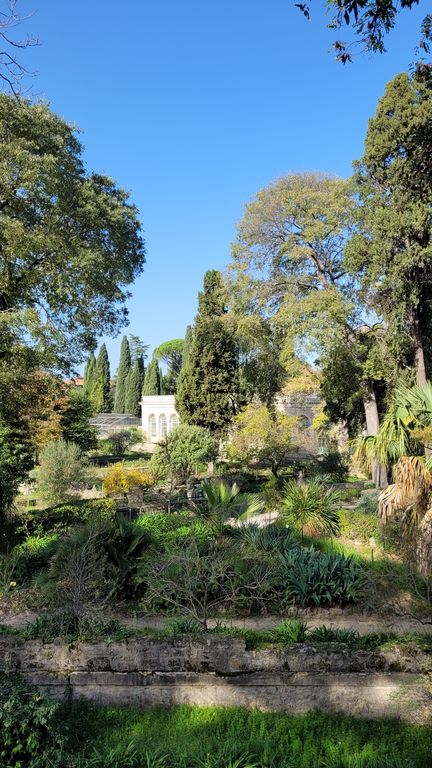 montpellier-jardin-plantes