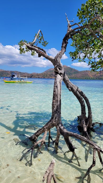 coron-island-hopping-super-ultimate-tour-3